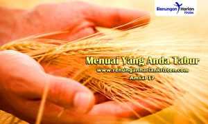 Renungan-Harian-Amsal-17-Menuai-Yang-Anda-Tabur