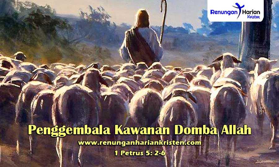Renungan Harian Anak 1 Petrus 5: 2-6 | Penggembala Kawanan Domba Allah