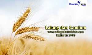 Renungan-Harian-Matius-13-24-30-Lalang-dan-Gandum