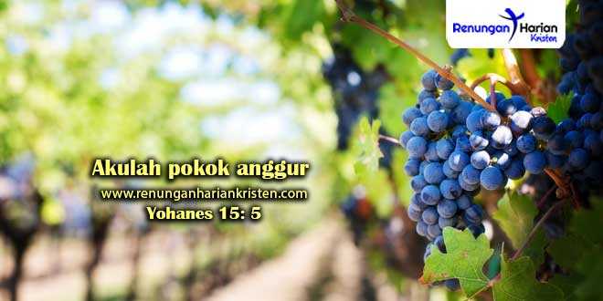 Renungan Yohanes 15: 5 | Akulah pokok anggur